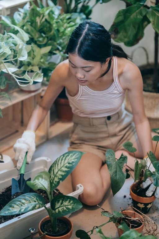 Essential Tips for Keeping Your Houseplants Healthy and Thriving